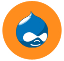 Drupal Developer