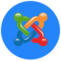 Joomla Developer