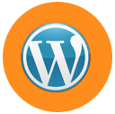 Wordpress Developer